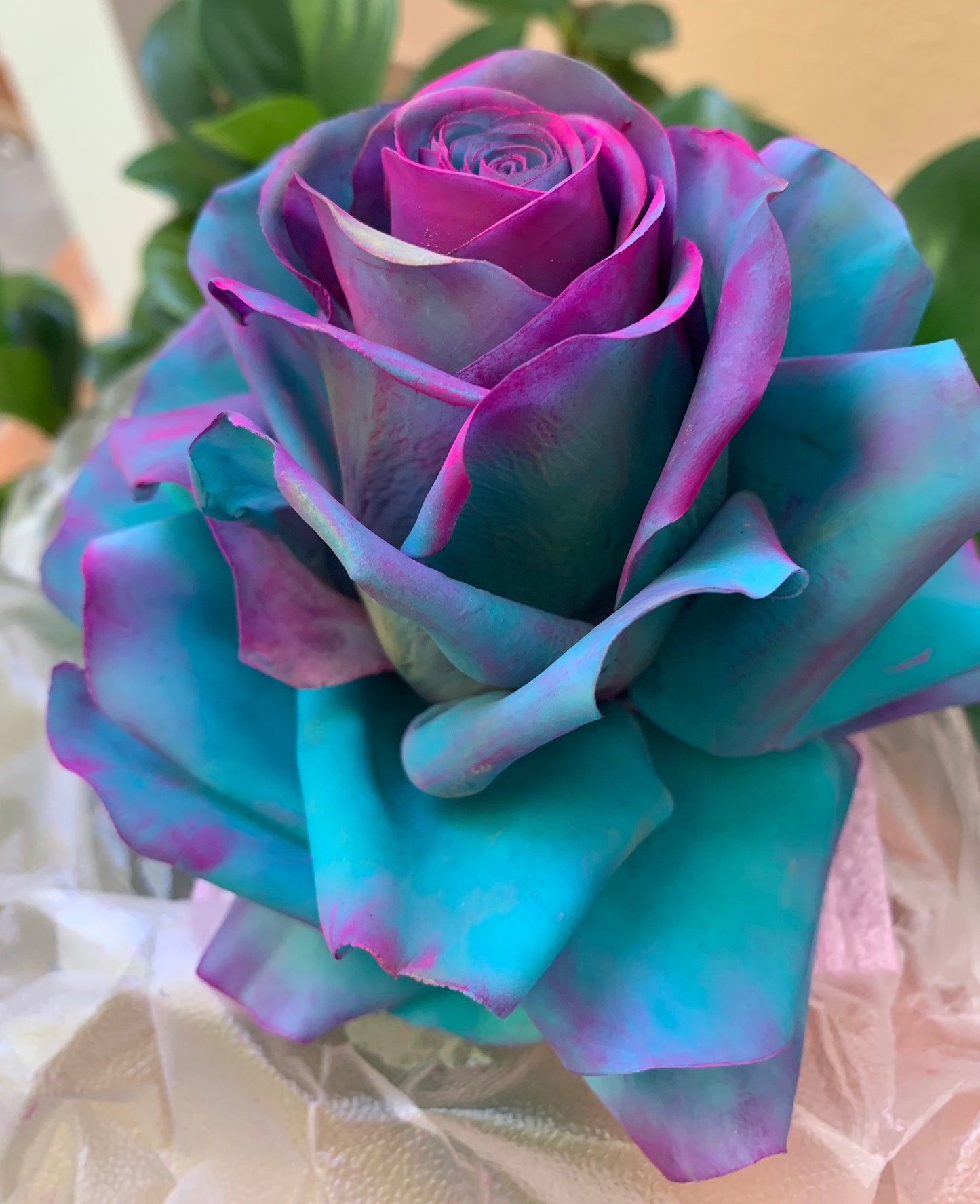 Edible Circus Roses  Cake Topper, Flexible Paste for  Wedding cakes, Birthdays or any Cake Decorations. NONBREAKABLE,  Save to be shipped