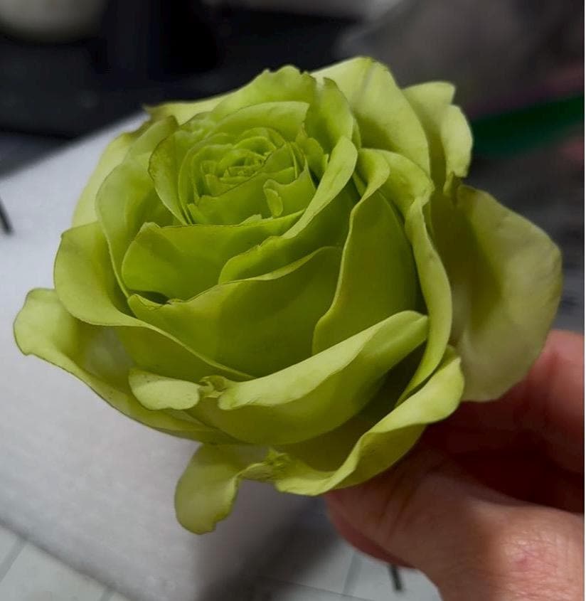Green Sugar Rose Cake Topper: Edible Wedding Birthday Decoration