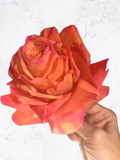 Edible Circus Roses  Cake Topper, Flexible Paste for  Wedding cakes, Birthdays or any Cake Decorations. NONBREAKABLE,  Save to be shipped