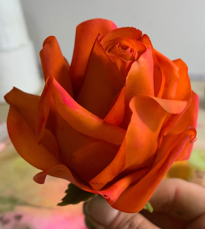 Edible Circus Roses  Cake Topper, Flexible Paste for  Wedding cakes, Birthdays or any Cake Decorations. NONBREAKABLE,  Save to be shipped