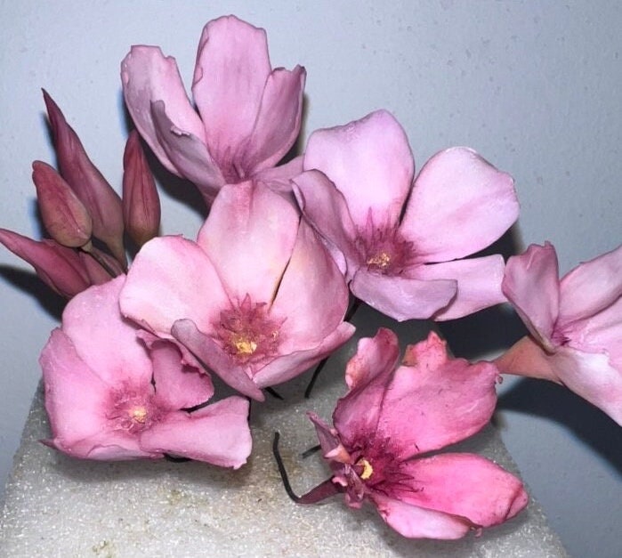 Handmade Oleander flower/Adelfas flores, Realistic, flexible paste, Edible, Gumepaste Cake Topper, Wedding Cake Flowers, Fondant , Any Color