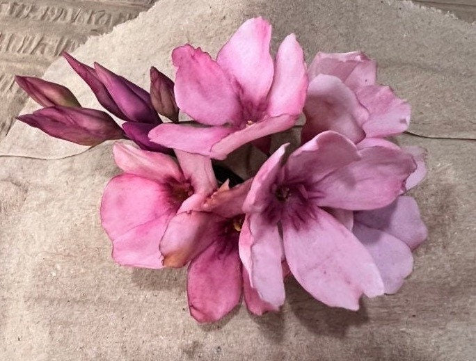 Handmade Oleander flower/Adelfas flores, Realistic, flexible paste, Edible, Gumepaste Cake Topper, Wedding Cake Flowers, Fondant , Any Color