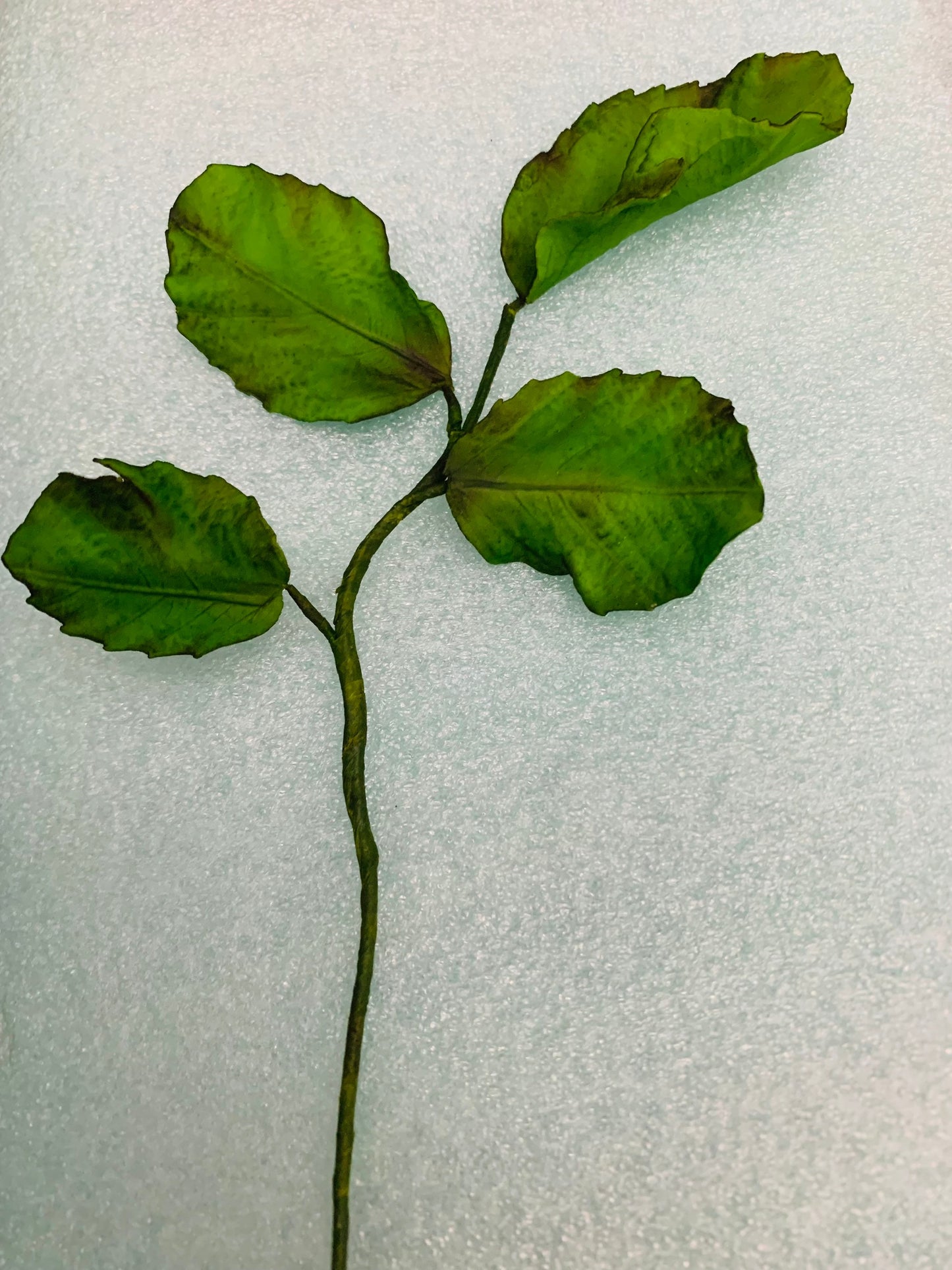 Gumpaste Rose Leaves Spray Cake Topper/ Wedding Cake Decorations|Edible Sugar Toppers