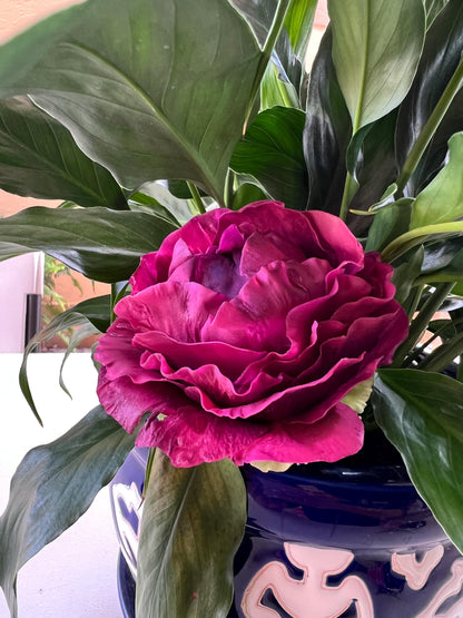 Realistic Flexible Sugar Paste Peony, Realistic Gumpaste Cake Decorations |  Ruffled Peony | Wedding Cake