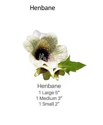 Handmade Edible Henbane Cake Flowers: Flexible Paste Wedding Topper