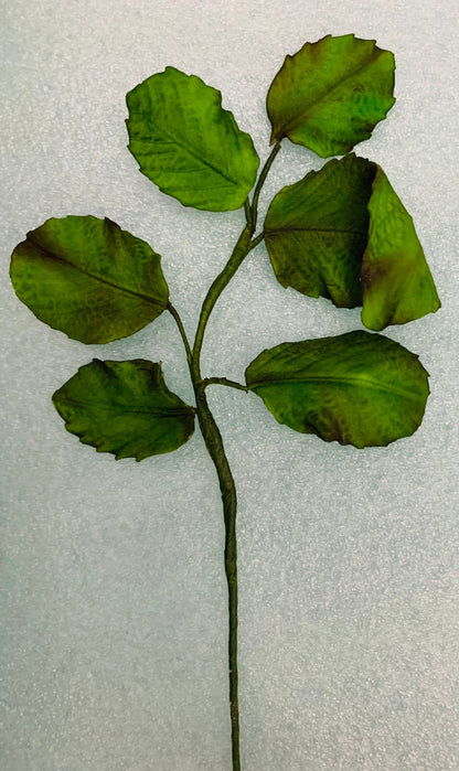 Gumpaste Rose Leaves Spray Cake Topper/ Wedding Cake Decorations|Edible Sugar Toppers