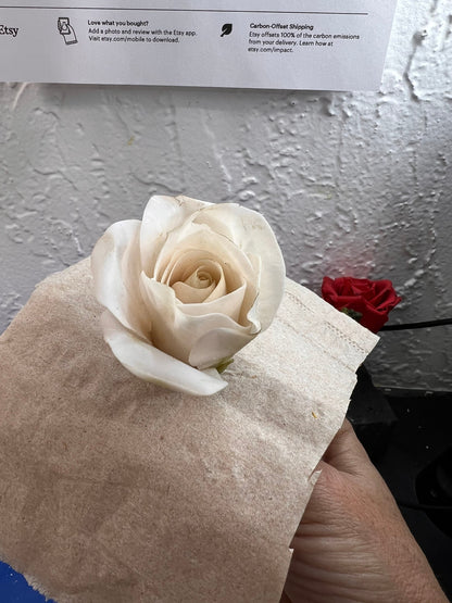 Edible Light Pink Sugar Roses, Handmade Flexible Paste Cake Toppers