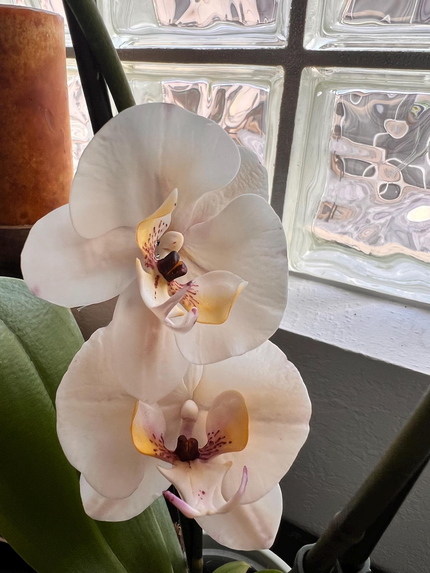Edible White Orchids Branch Cake Topper, Flexible Vegan Paste Custom Flowers, for Wedding or Birthdays