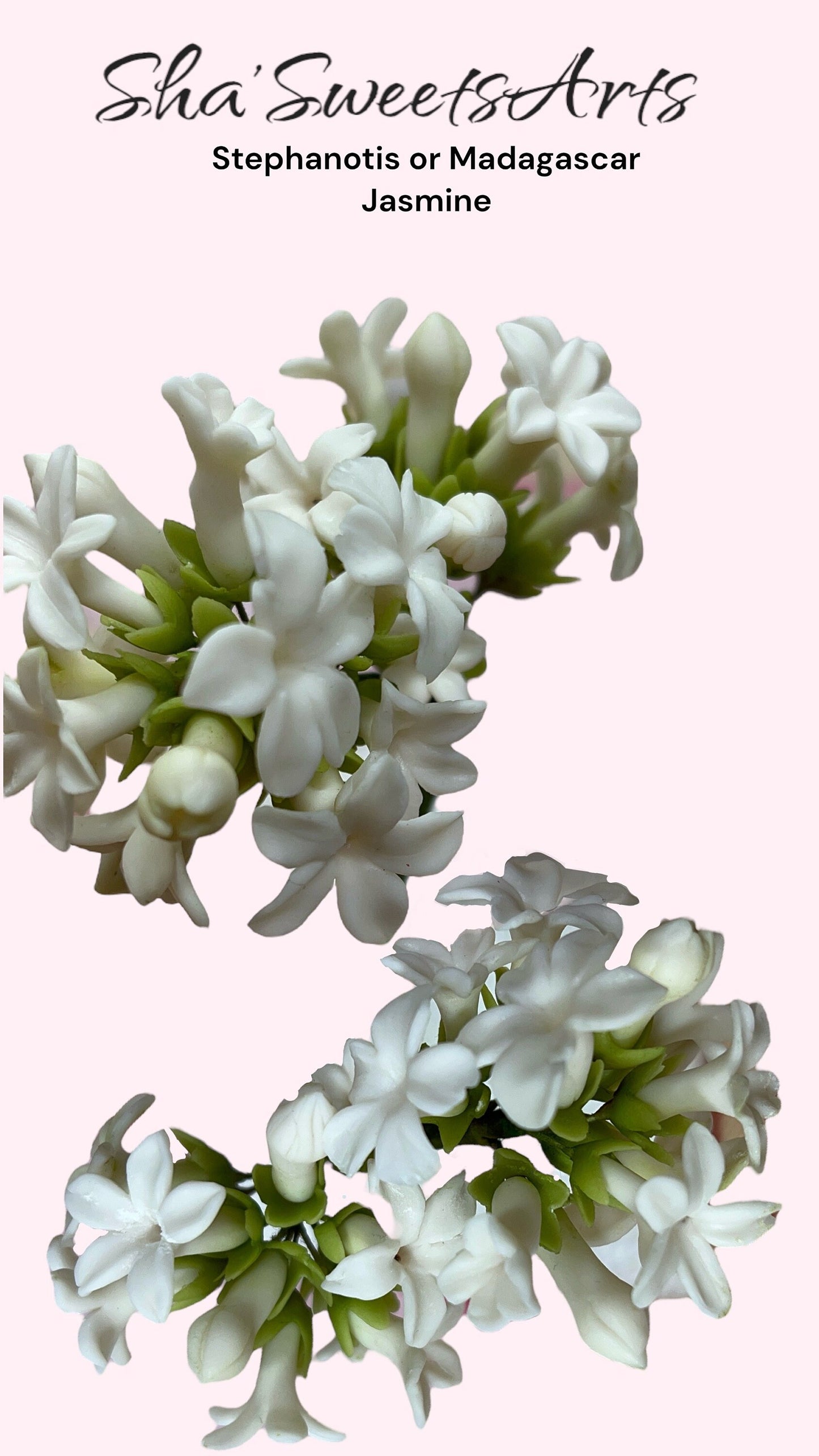 Edible handmade Stephanotis or Madagascar jasmine Vine /gumpaste/ Fondant/ Birthday Wedding Cake decoration/sugar flower