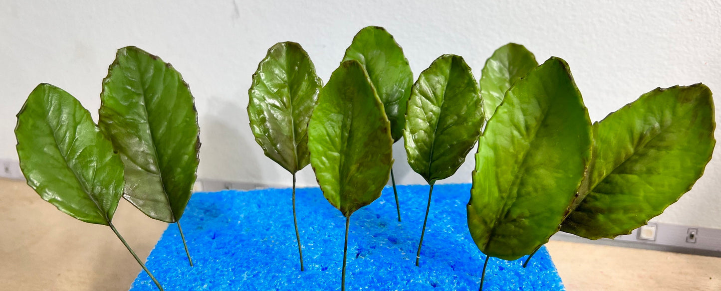 Gumpaste Rose Leaves Spray Cake Topper/ Wedding Cake Decorations|Edible Sugar Toppers