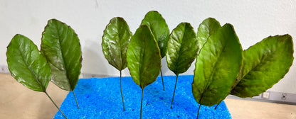 Gumpaste Rose Leaves Spray Cake Topper/ Wedding Cake Decorations|Edible Sugar Toppers