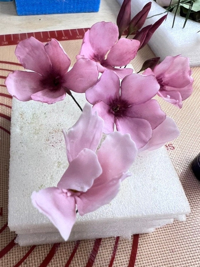 Handmade Oleander flower/Adelfas flores, Realistic, flexible paste, Edible, Gumepaste Cake Topper, Wedding Cake Flowers, Fondant , Any Color