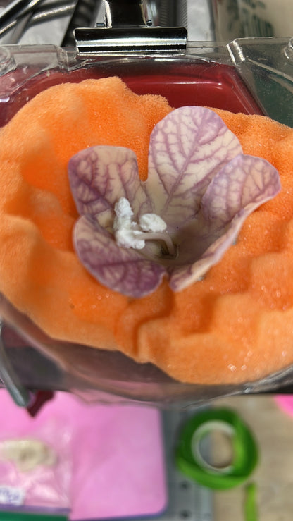 Handmade Edible Henbane Cake Flowers: Flexible Paste Wedding Topper