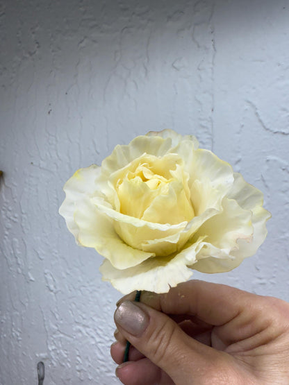 Realistic Flexible Sugar Paste Peony, Realistic Gumpaste Cake Decorations |  Ruffled Peony | Wedding Cake